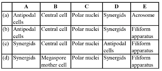 DPP for NEET: Daily Practice Problems, Ch: Sexual Reproduction in Flowering Plants | Biology Class 12