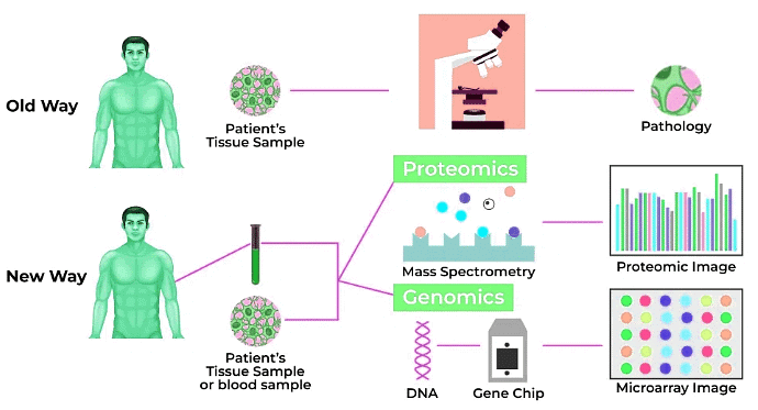 Biotechnology and its Applications Chapter Notes | Biology Class 12 - NEET