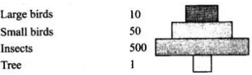 NCERT Exemplar: Ecosystem | Biology Class 12 - NEET