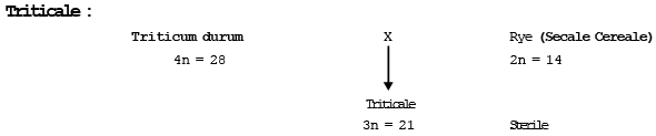 Types of Mutation | Additional Study Material for NEET