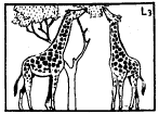 Theories of Organic Evolution (Part - 1) - Notes, Botany, Class 12
