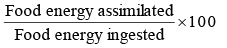 Ecosystems & Ecological Pyramids | Biology Class 12 - NEET