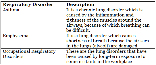 Breathing and Exchange of Gases Chapter Notes | Biology Class 11 - NEET