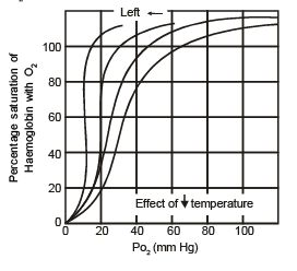 Oxyhaemoglobin Dissociation Curve