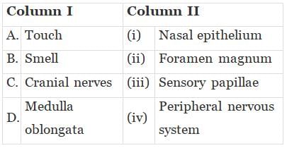 NCERT Exemplar: Structural Organisation in Animals | Biology Class 11 - NEET