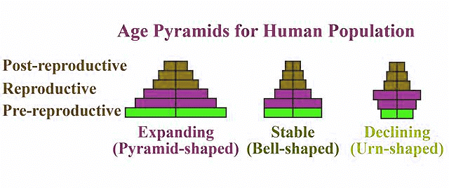 Important Diagrams: Organisms and Population | Biology Class 12 - NEET