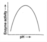 Short & Long Question Answers with Solution: Biomolecules | Biology for ACT