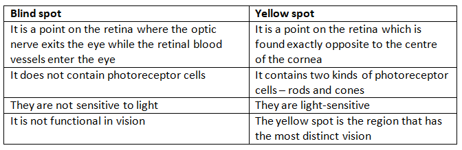 Neural Control & Coordination NCERT Solutions | Biology Class 11 - NEET