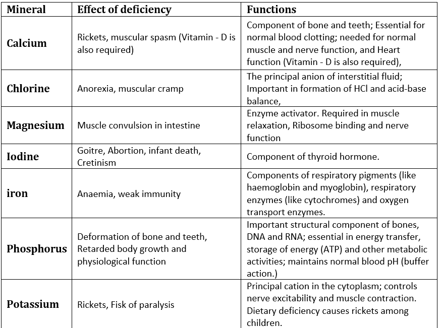 Absorption of Digested Products & Disorders of Digestive System | Biology for Grade 11