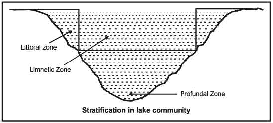 Ecology: Community & Biome | AP Biology - Grade 9