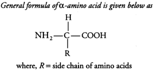 Biomolecules & Its Types | Biology Class 11 - NEET