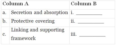 NCERT Exemplar: Structural Organisation in Animals | Biology Class 11 - NEET