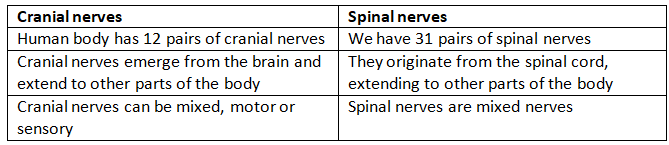 Neural Control & Coordination NCERT Solutions | Biology Class 11 - NEET