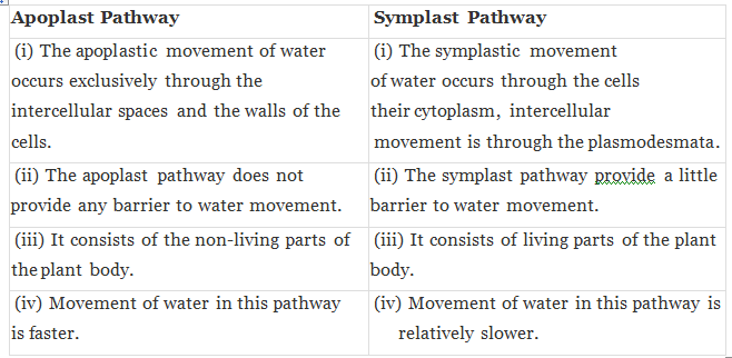 NCERT Exemplar: Transport in Plants (Old NCERT) | Biology for Grade 11