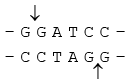 Genetics | Additional Study Material for NEET