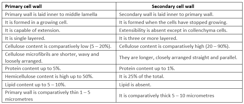 Cell: The Unit of Life Chapter Notes | Biology Class 11 - NEET