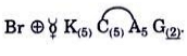 NCERT Notes: Morphology of Flowering Plants | NCERTs at Fingertips: Textbooks, Tests & Solutions - NEET