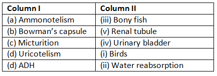 Excretory Products & their Elimination NCERT Solutions | Biology Class 11 - NEET