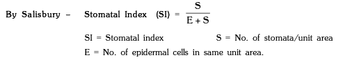 Transpiration Pull & Stomata | Biology A-Level - A Level