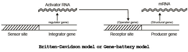 Genetics | Additional Study Material for NEET