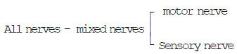 Respiratory & Nervous Systems: Cockroach | Additional Study Material for NEET
