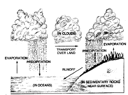 Biogeochemical Cycles | Biology for JAMB