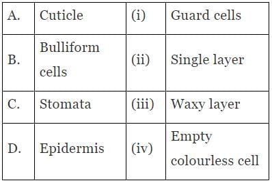 NCERT Exemplar: Anatomy of Flowering Plants | Biology Class 11 - NEET