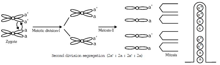 Genetics, Class 12, Biology | General Awareness - Bank Exams