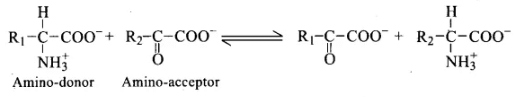 NCERT Exemplar: Mineral Nutrition (Old NCERT) | Biology for Grade 11