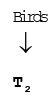 Components: Producers & Consumers | Biology for EmSAT Achieve