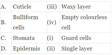 NCERT Exemplar: Anatomy of Flowering Plants | Biology Class 11 - NEET