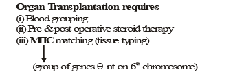 Vaccination & Immunisation | Biology Class 12 - NEET