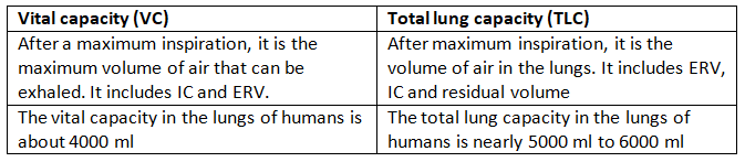 NCERT Solutions Class 11 Biology Chapter 17 - Breathing and Exchange of Gases