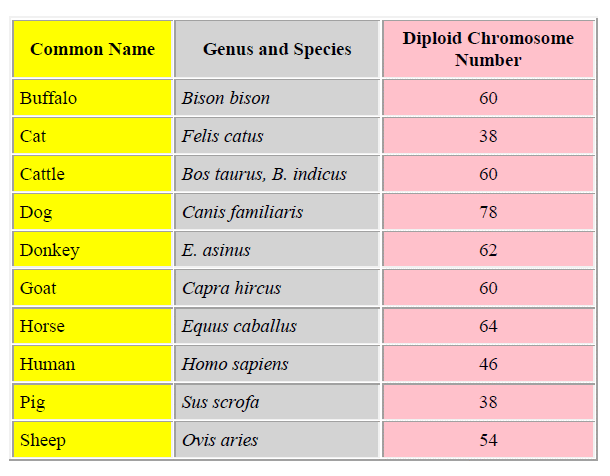 Sexual Reproduction | Biology for Grade 12