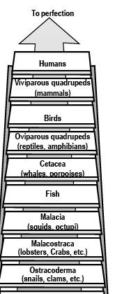 Origin of Life (Part - 2) - Notes, Botany, Class 12