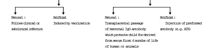 Immunity & Human Immune System | Biology for Grade 12