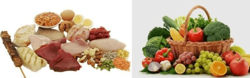 NCERT Solution: Mineral Nutrition (Old NCERT) | General Science for Competitive Exams - RRB Group D / RPF Constable