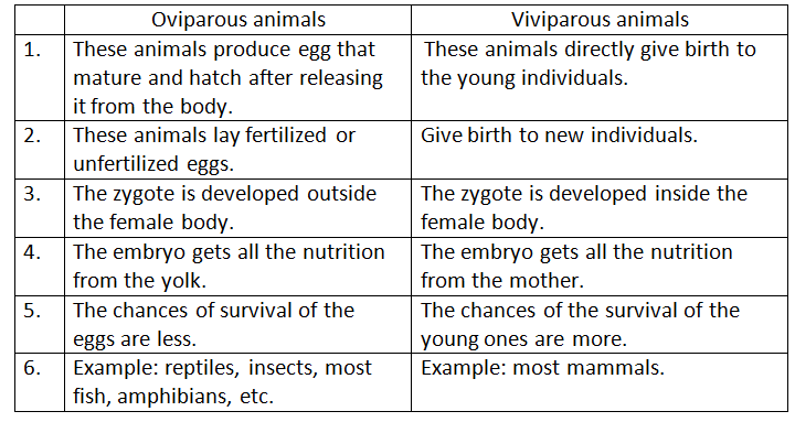 Sexual Reproduction | Biology for Grade 12