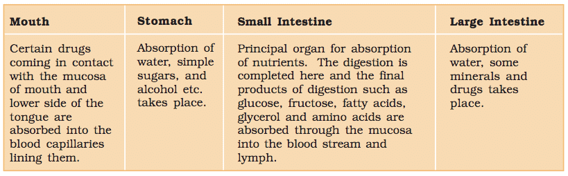 Summary of Absorption in Different Parts of Digestive System