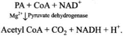 NCERT Exemplars: Respiration in Plants | Biology Class 11 - NEET
