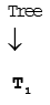 Components: Producers & Consumers | Biology for EmSAT Achieve
