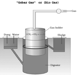 Single Cell Protein & Bioenergy | Biology for EmSAT Achieve