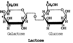Carbohydrates | Biology Class 11 - NEET