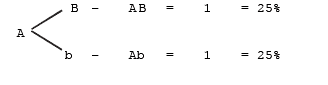 Inheritance of One Gene & Inheritance of Two Genes | Additional Study Material for NEET