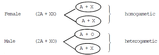 Genetics, Class 12, Biology | General Awareness - Bank Exams