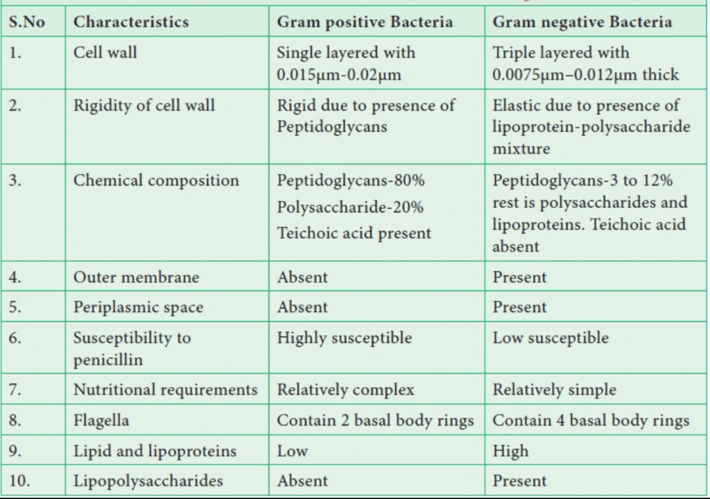 Prokaryotic Cells: Cell Envelope & Components of Bacterial Cell | Biology for ACT