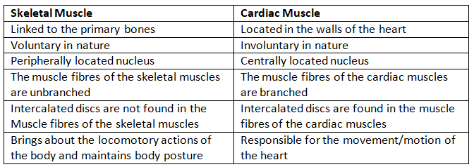 Locomotion & Movement NCERT Solutions | Biology Class 11 - NEET