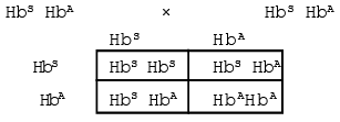 Gene Interaction | Additional Study Material for NEET