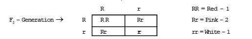 Gene Interaction | Additional Study Material for NEET