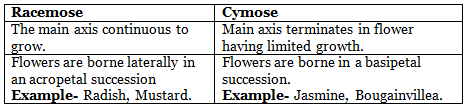 NCERT Notes: Morphology of Flowering Plants | NCERTs at Fingertips: Textbooks, Tests & Solutions - NEET